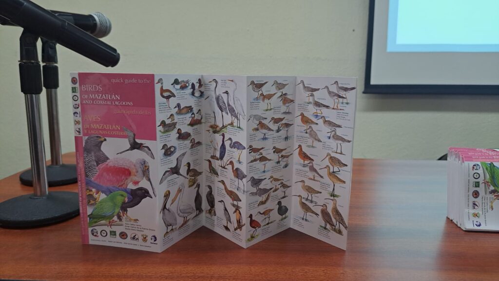 Presentación de la guía rápida "Aves de Mazatlán y Lagunas Costeras"