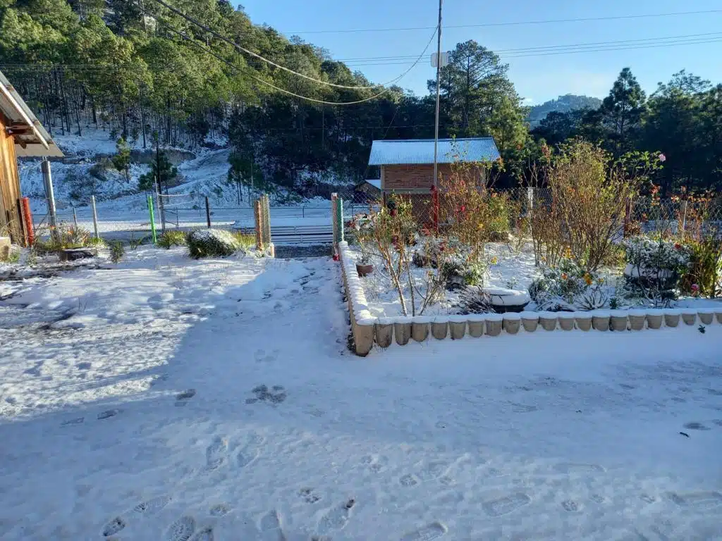 Primera nevada en Badiraguato