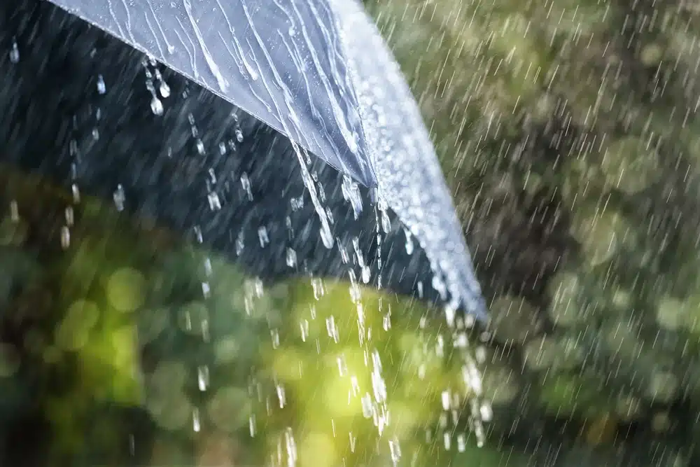 Gotas de lluvia y paraguas