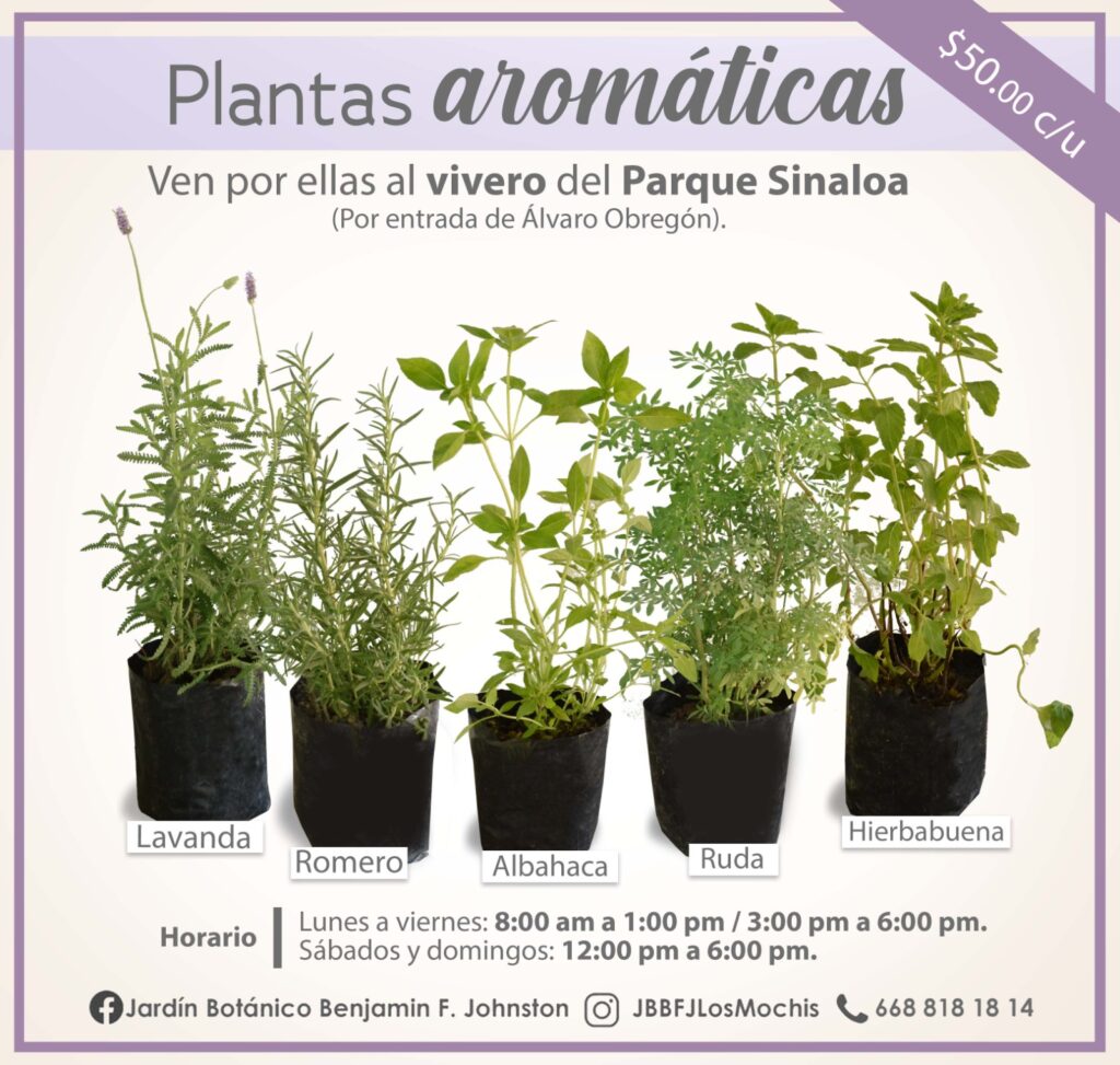 Anuncio de plantas del vivero del Parque Sinaloa