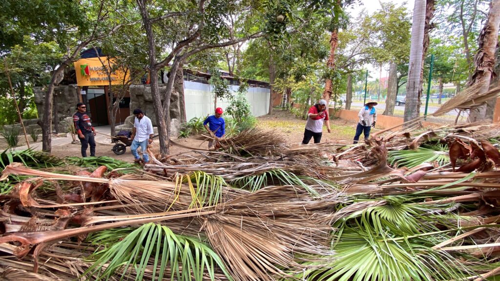 Instalación de la villa navideña en el parque Central en Mazatlán