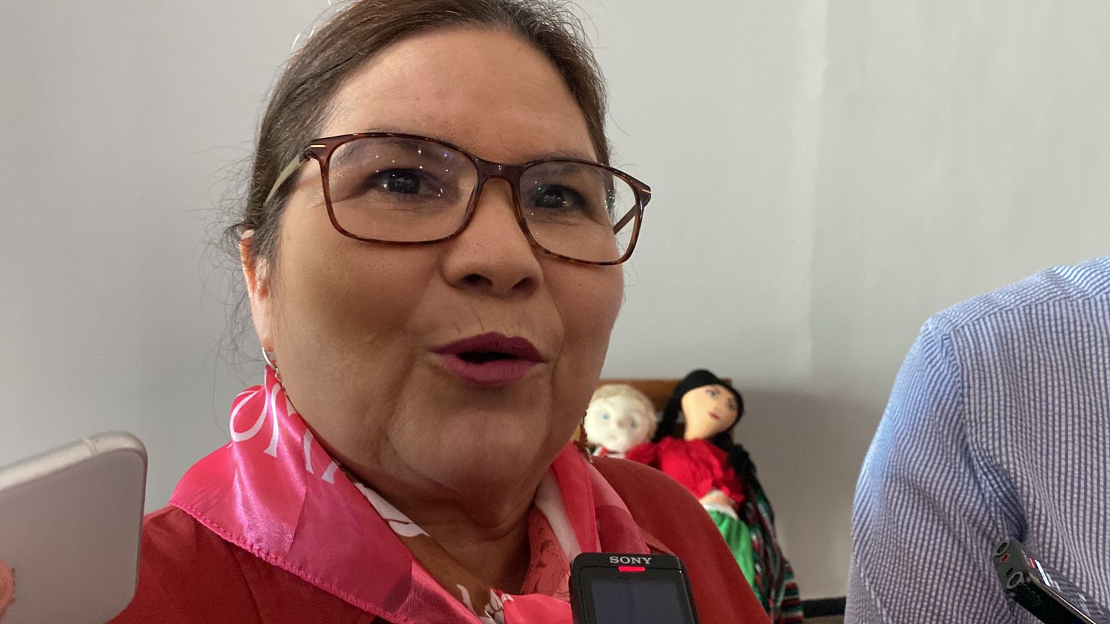 Imelda Castro Castro, senadora por Morena