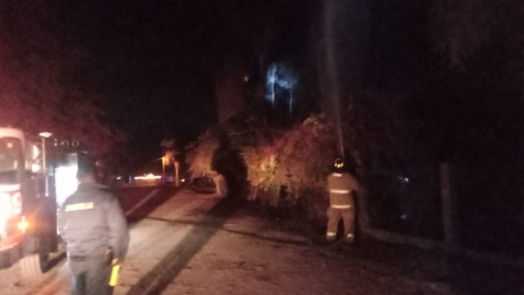 Bomberos extinguiendo el fuego de unas palmas