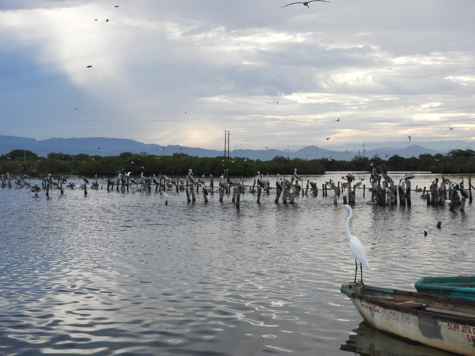 Sistema lagunar en Sinaloa