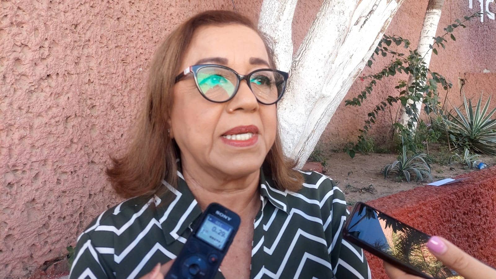 Alba Virgen Montes Álvarez, diputada del PAS, durante entrevista con LD