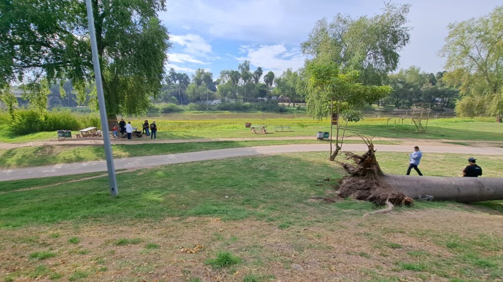 Personas y cinta amarilla delimitando el área de un crimen en el parque Las Riberas en Culiacán