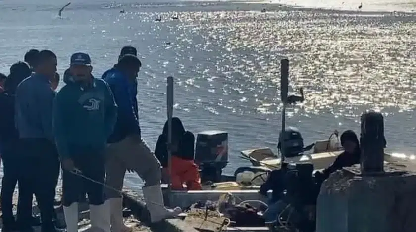 Muere pescador por ataque de tiburón en Sonora