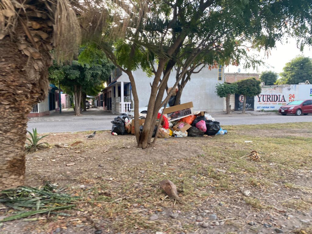 Bolsas de basura y cartones en Los Mochis