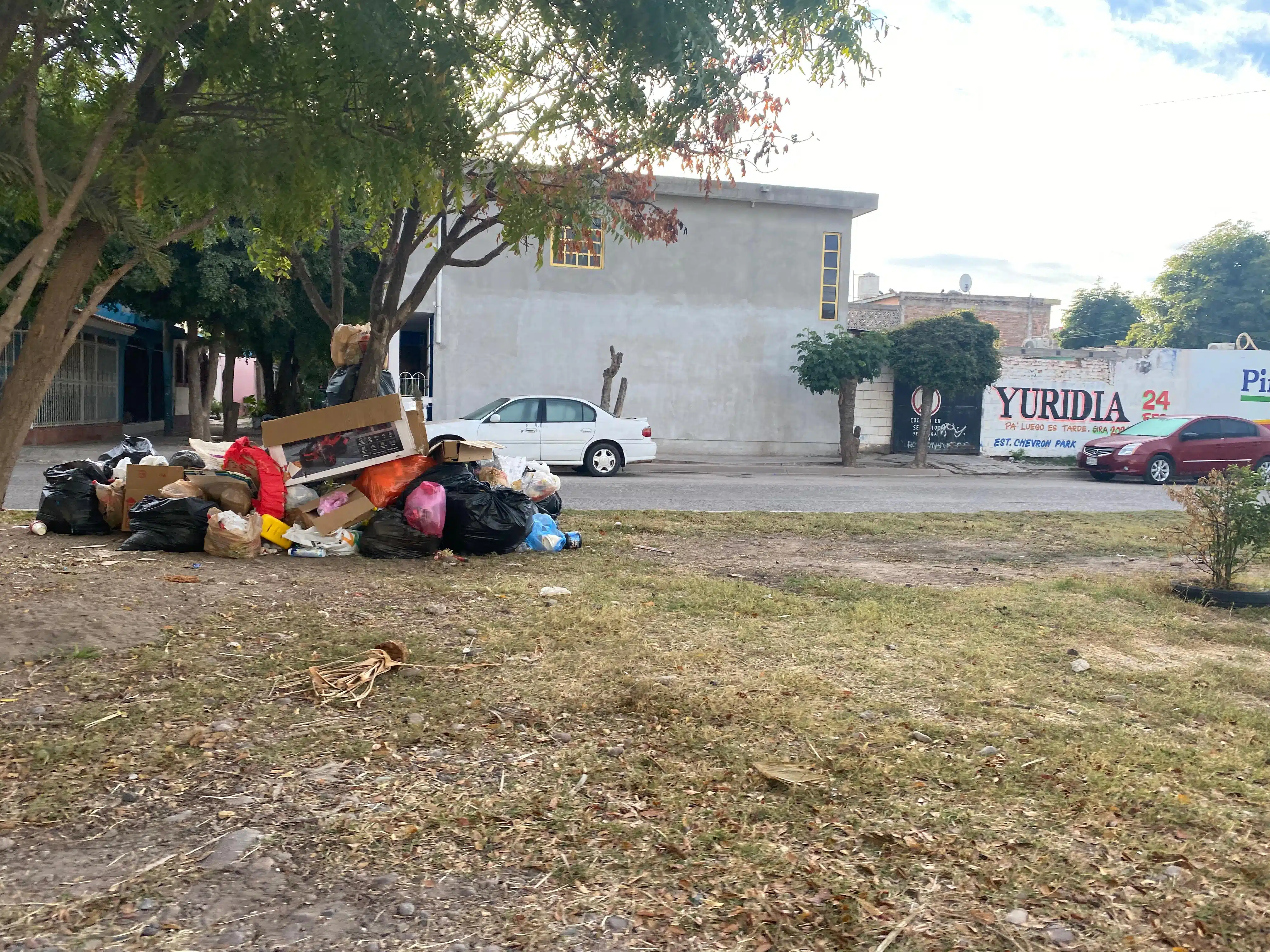 Bolsas de basura y cartones en Los Mochis