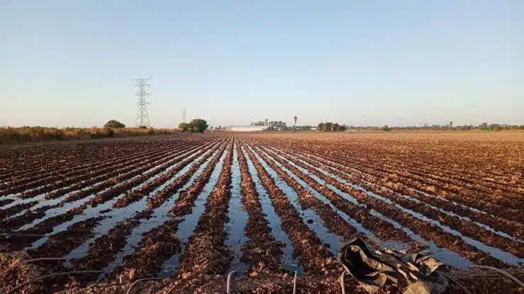 Tierras de cultivo en el valle de El Carrizo