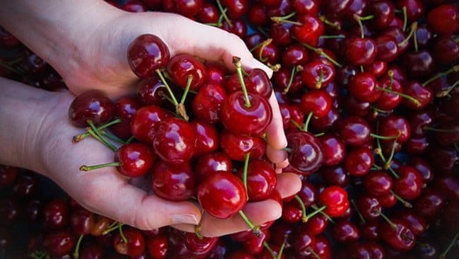 ALimentación de cerezas
