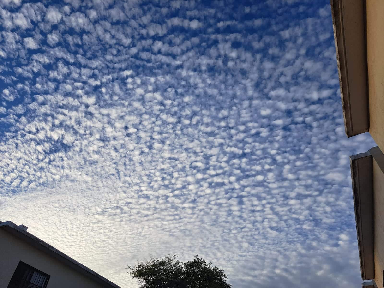 Cielo atardecer con nubes