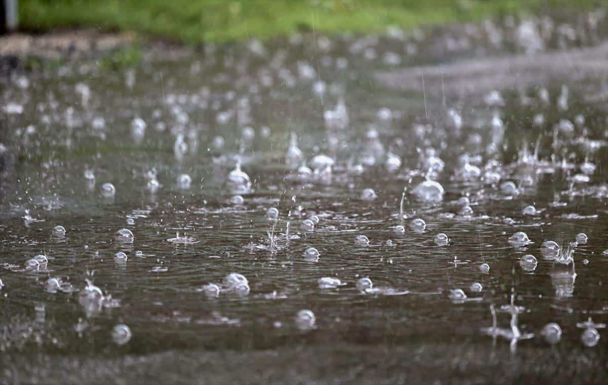 Clima en Tamaulipas