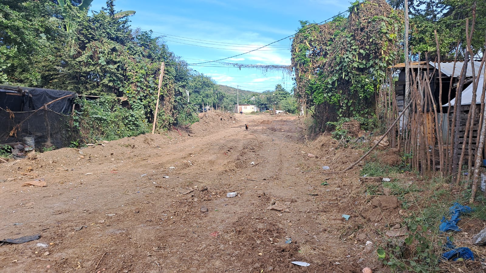 Calle de una colonia de Mazatlán