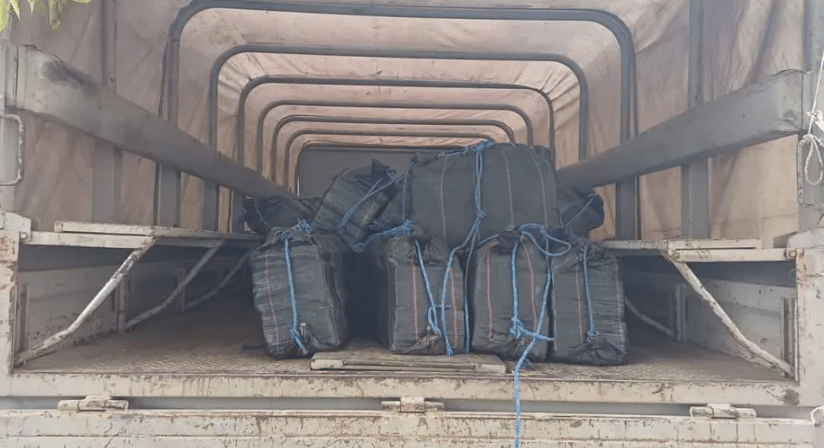 Aseguran cargamento de cocaína en Michoacán