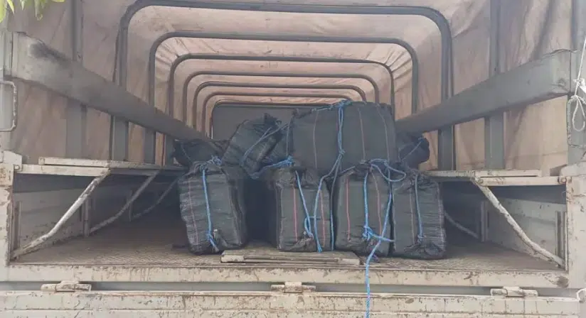 Aseguran cargamento de cocaína en Michoacán