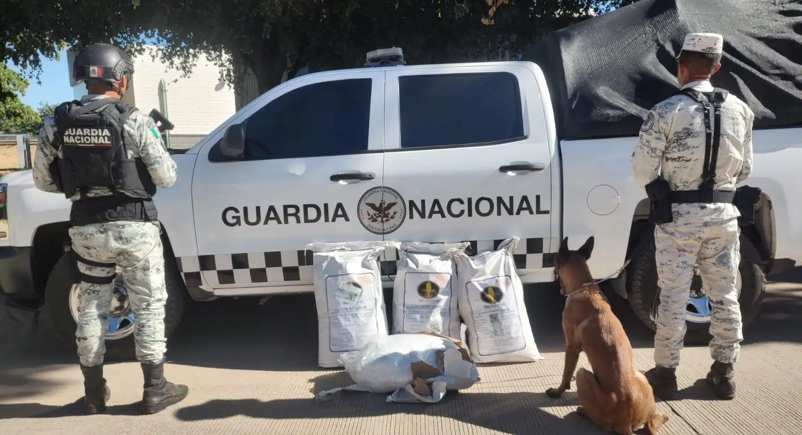 La Guardia Nacional logró asegurar 100 kilos de precursor químico utilizado para la fabricación de droga sintética.