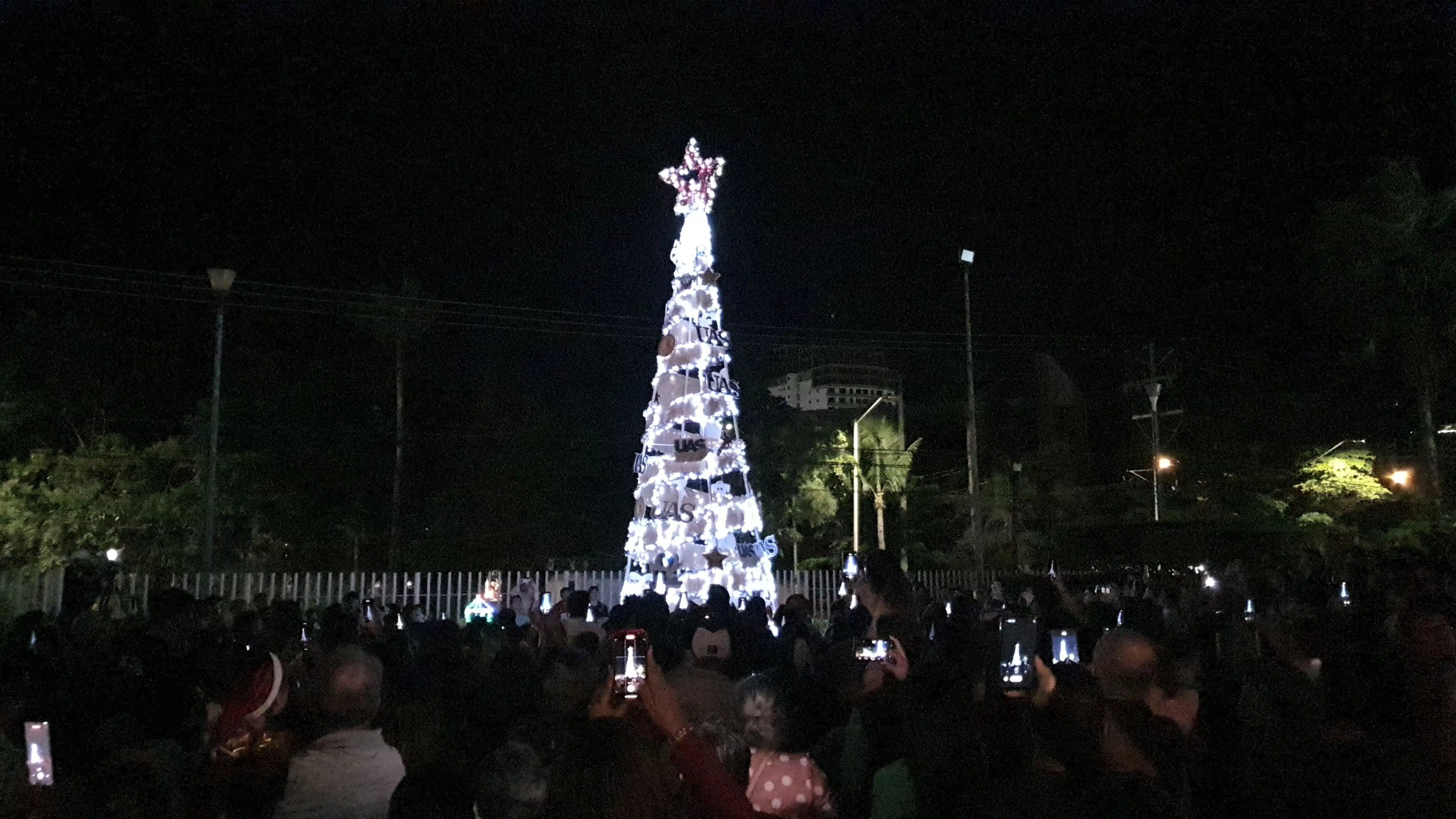 Encienden el enorme pino de Navidad en la UAS.