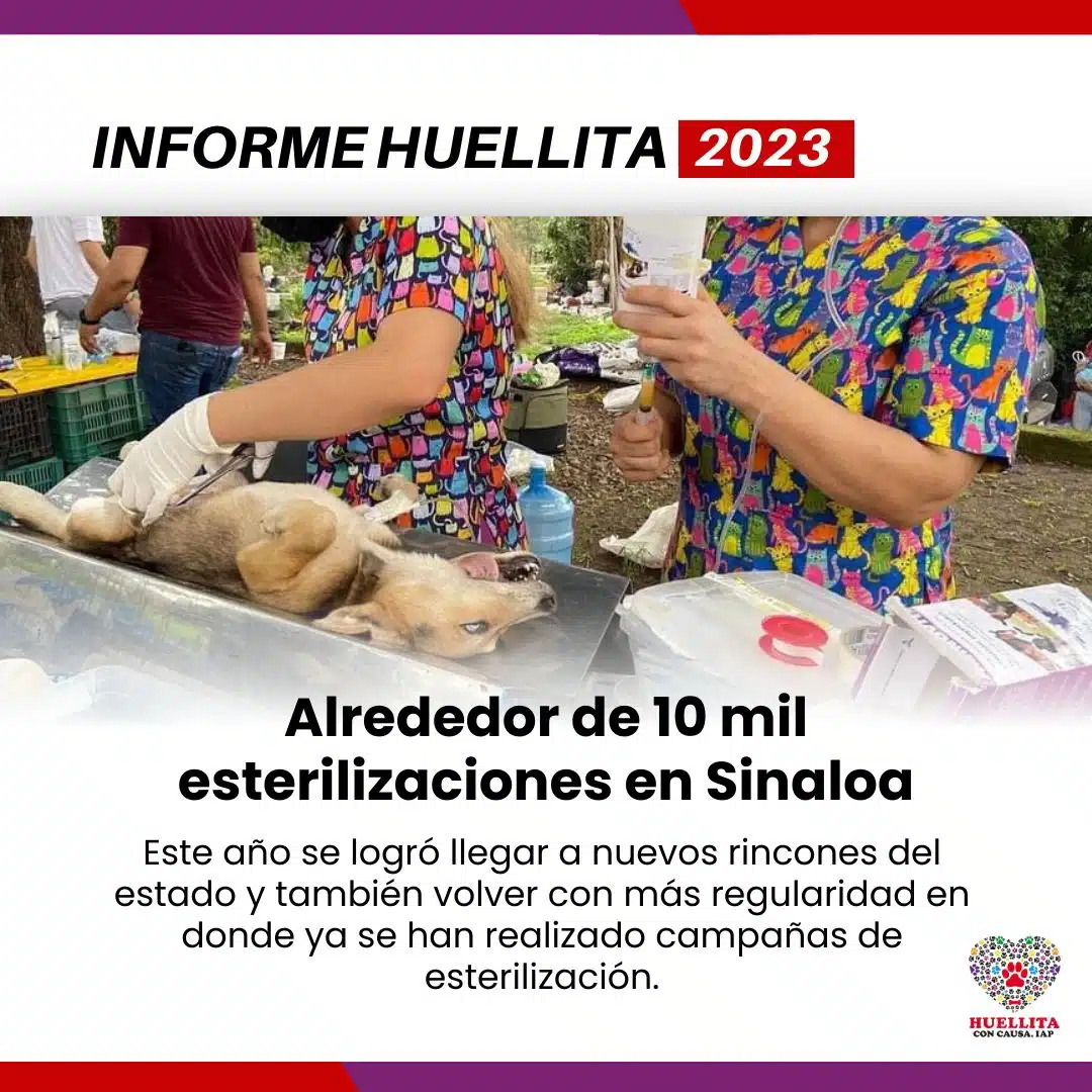 Campaña Huellita con Causa 2023 en Sinaloa