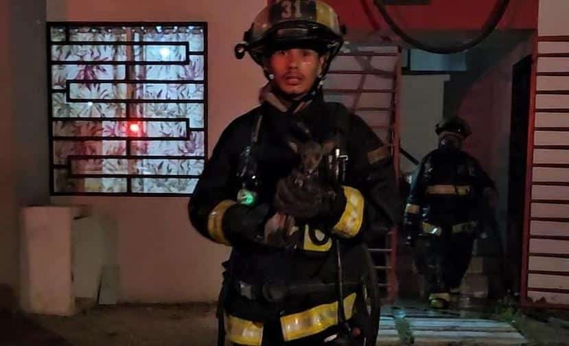 Uno de los elementos de Bomberos sacó del interior de la casa a un perrito chihuahueño.