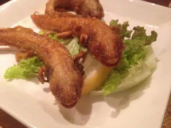 Indignación en las redes; restaurante oferta ajolotes fritos en Japón