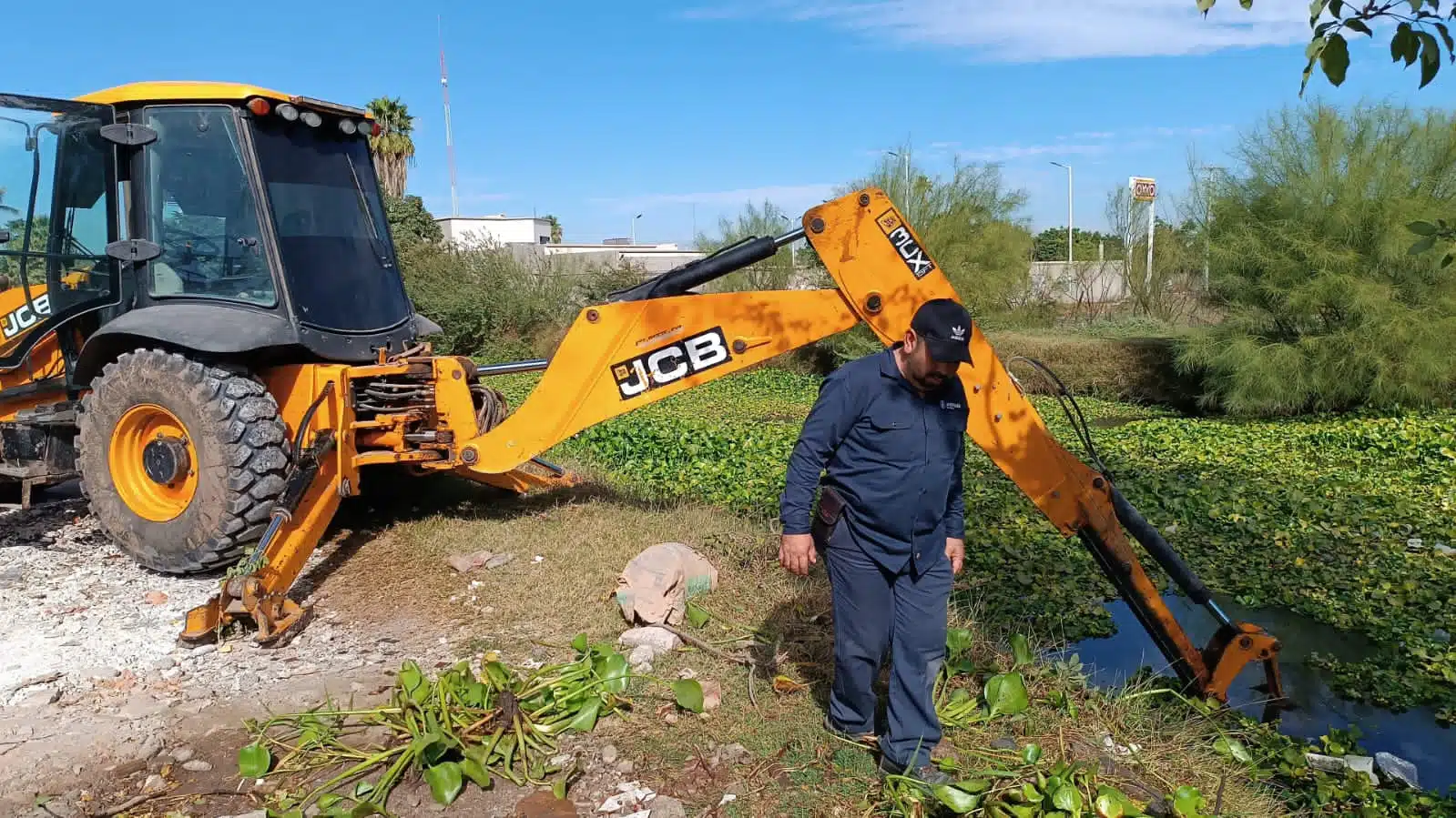 personal técnico y de los módulos trabajan para retirar todo el lirio acuático