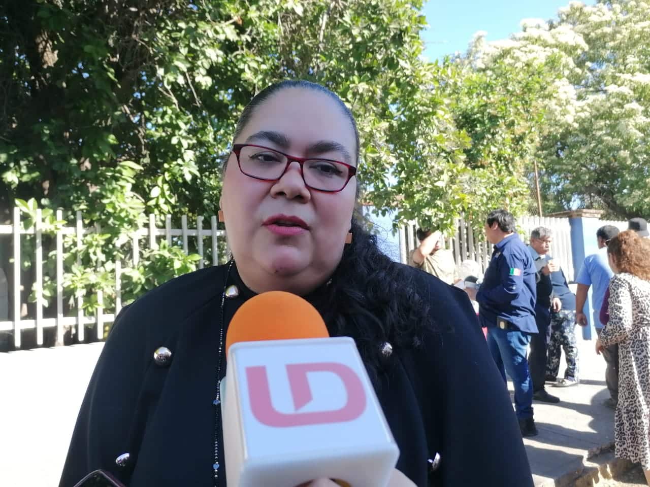 directora general del instituto de protección de derechos humanos y periodistas