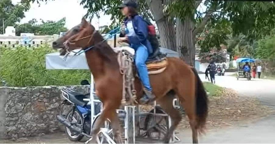 Joven pide un caballo como regalo de cumpleaños para ir a la escuela