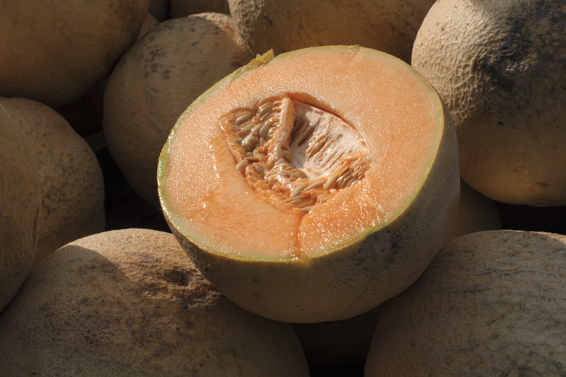Melón