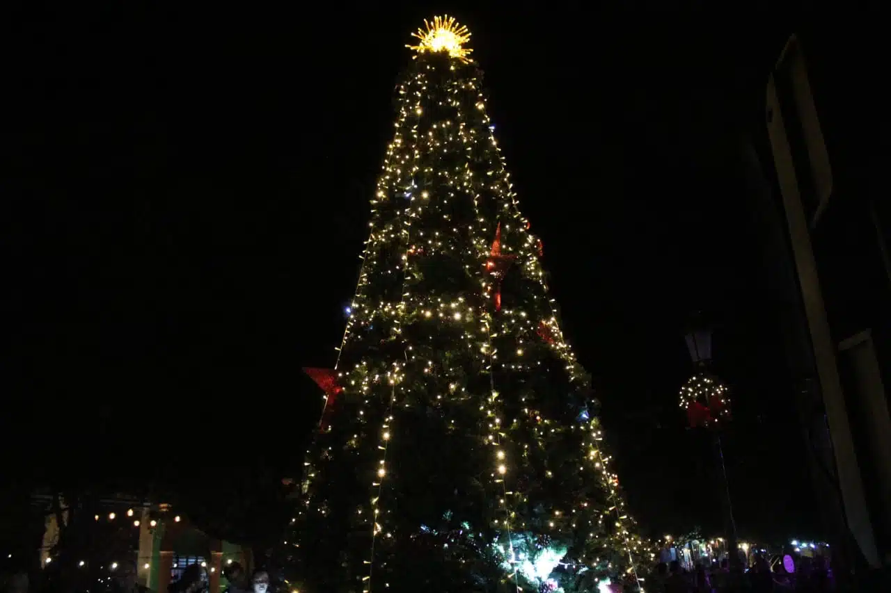 Encienden árbol navideño en la plazuela Machado.