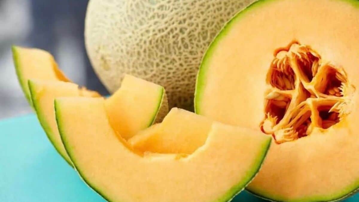 Suman seis canadienses fallecidos por melones contaminados con salmonela