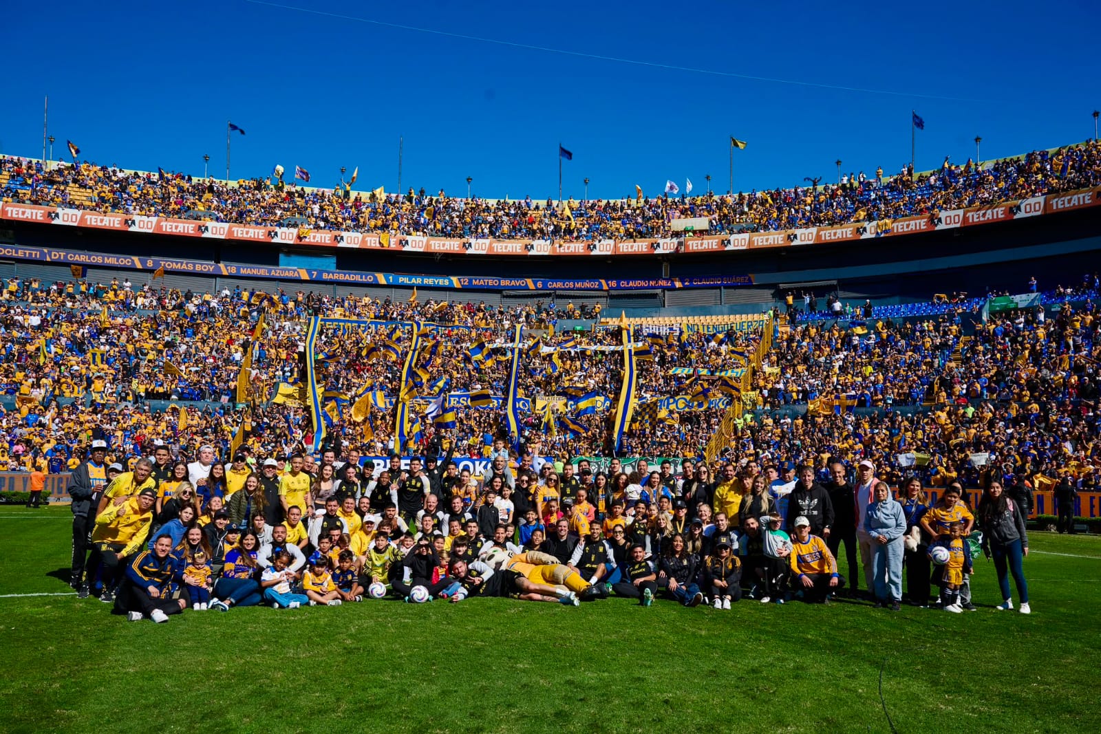 Equipo Tigres