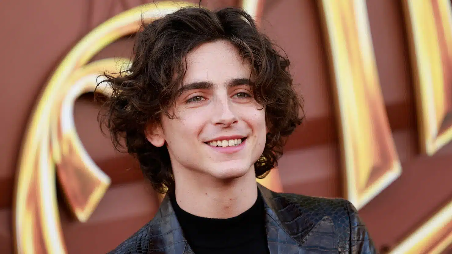 Timothée Chalamet el hombre más guapo del mundo 2023