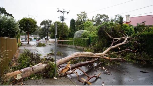 Tormenta deja un muerto y 110 mil casas sin electricidad en Australia