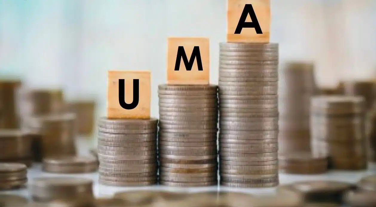 Dinero y letras que dicen UMA