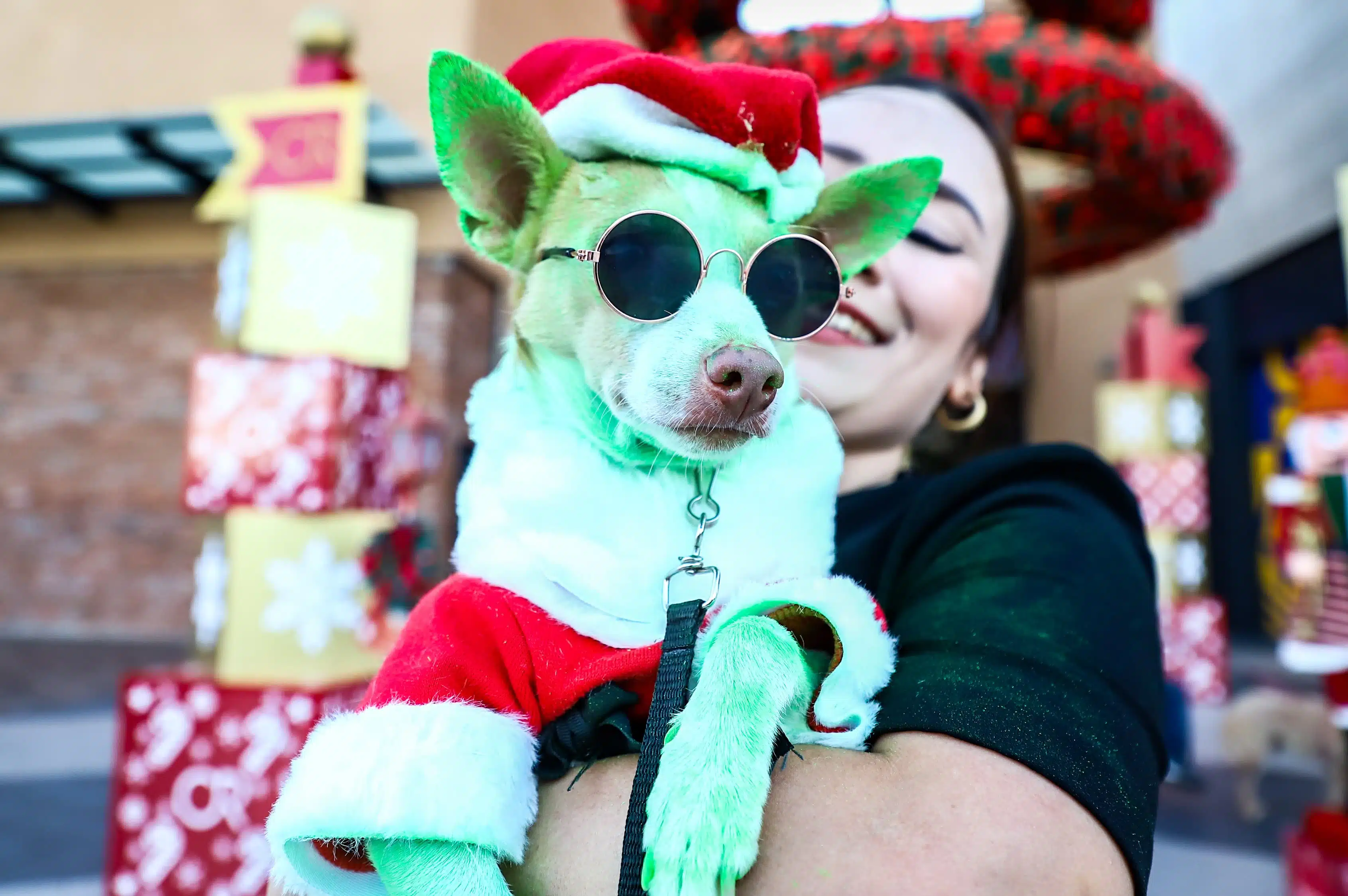 Perro con traje de santa