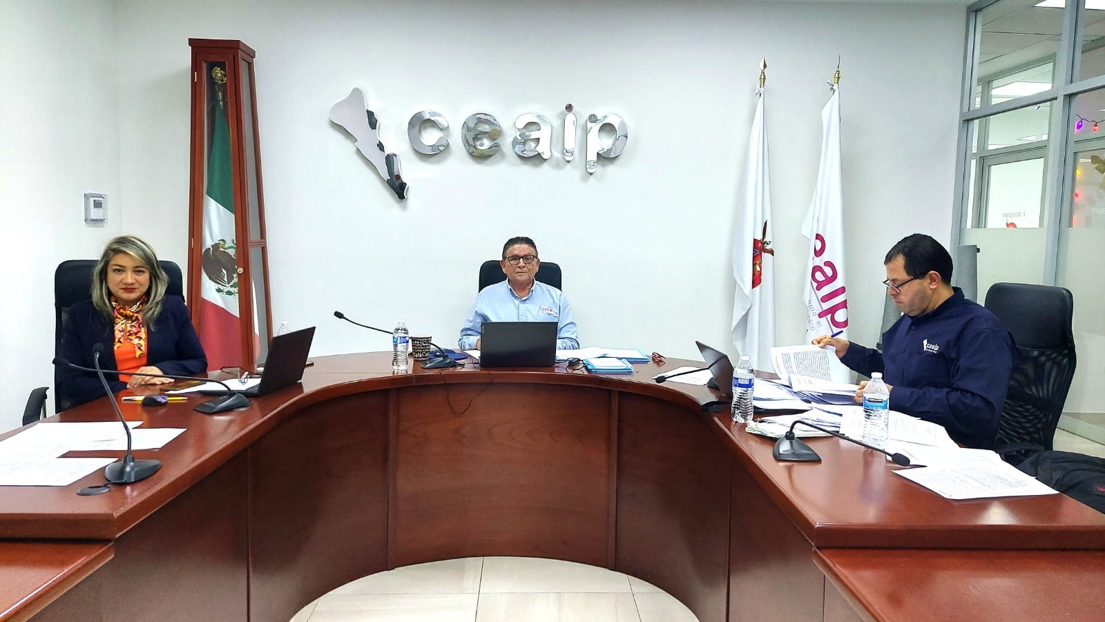 Pleno de Ceaip
