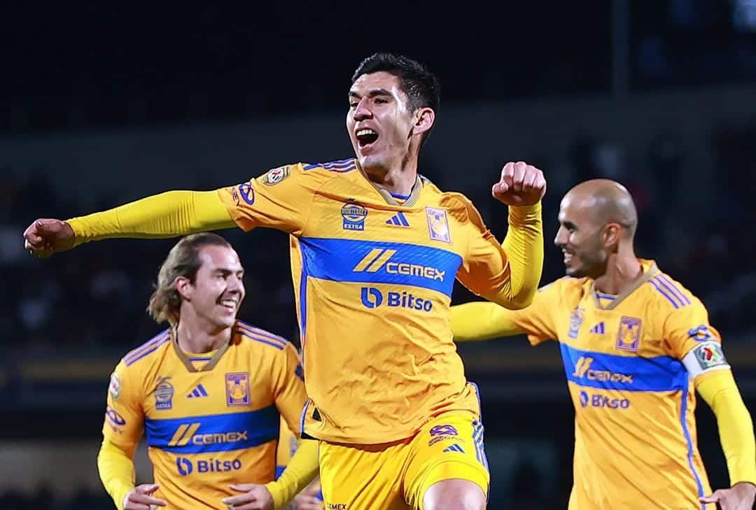 Tigres
