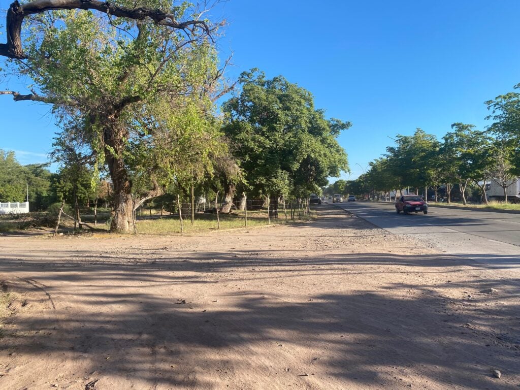 predio ubicado en la carretera Los Mochis-Topolobampo