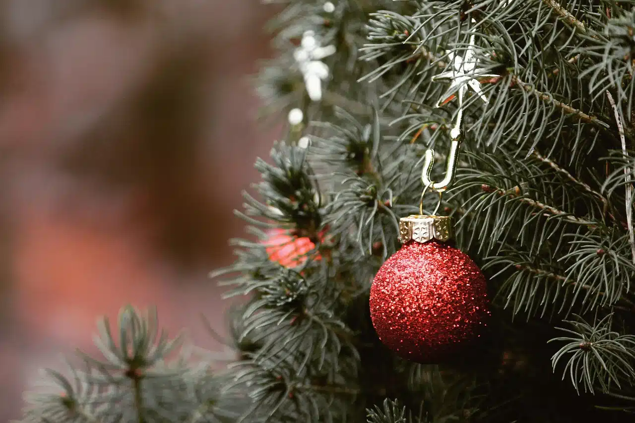 Esfera navideña colocada sobre un pino