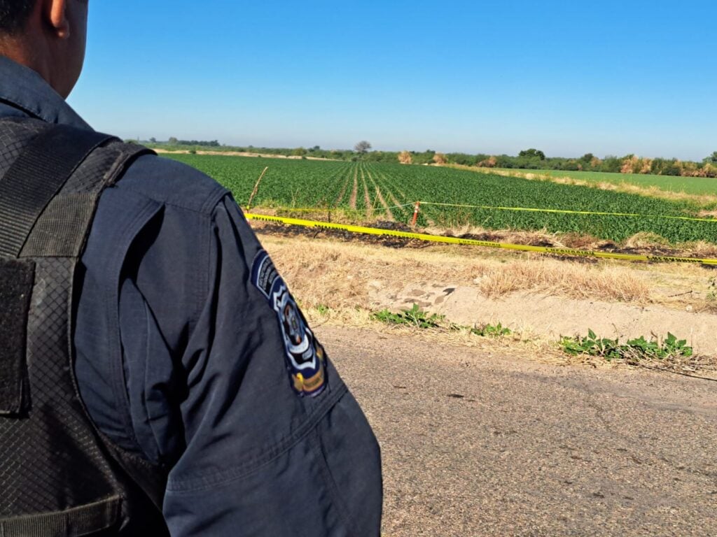 localiza cadáver envuelto, en tierras de cultivo