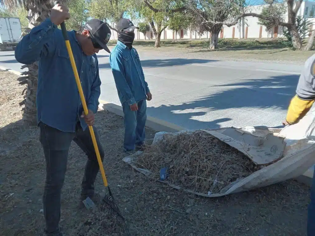 Trabajadores del Ayuntamiento de Ahome realizando limpieza por la carretera Los Mochis-Topolobampo