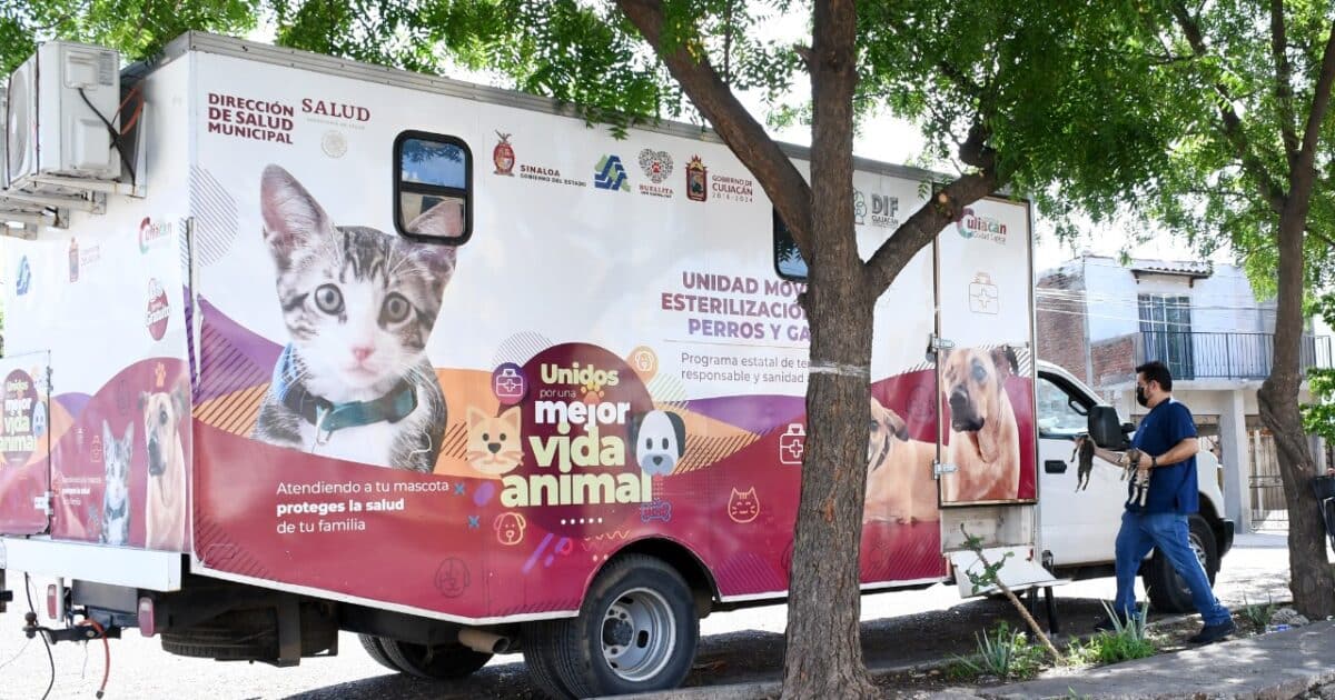 Recortan presupuesto en Sinaloa para la esterilización de perros y gatos