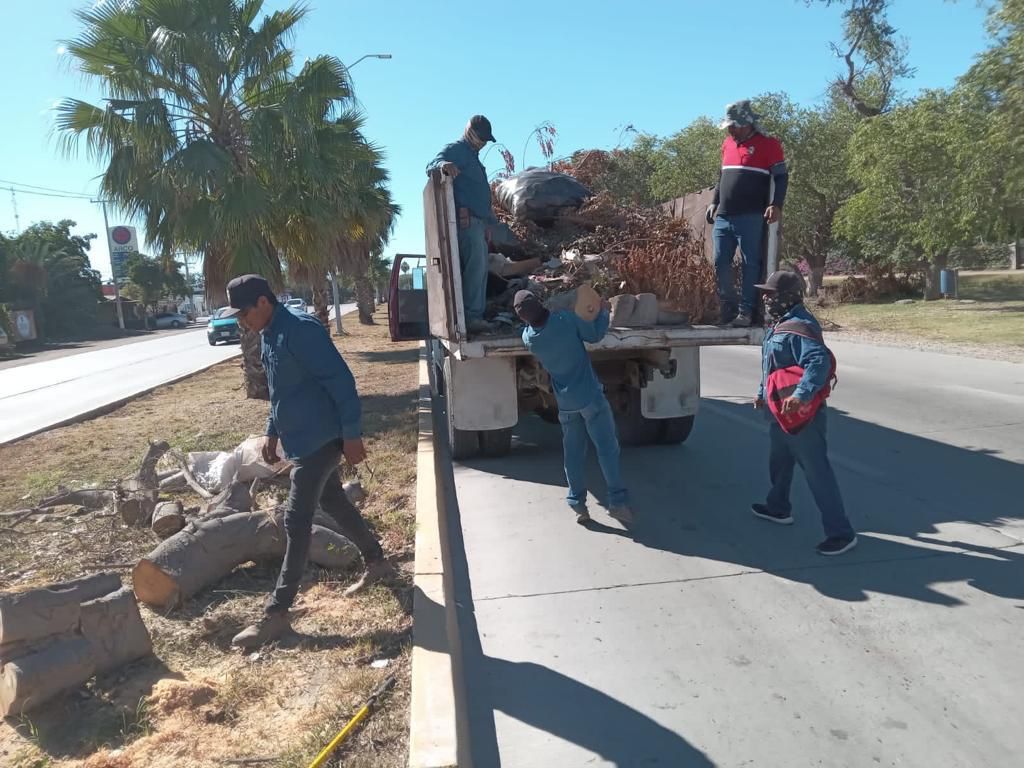 Trabajadores del Ayuntamiento de Ahome realizando limpieza por la carretera Los Mochis-Topolobampo