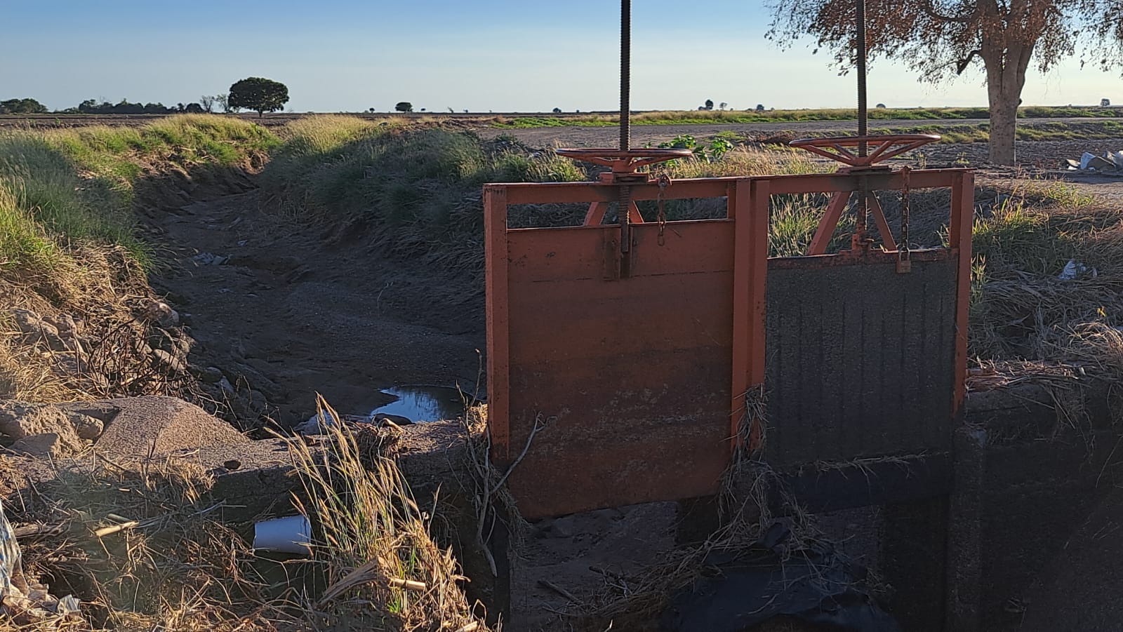 módulo de riego sin agua