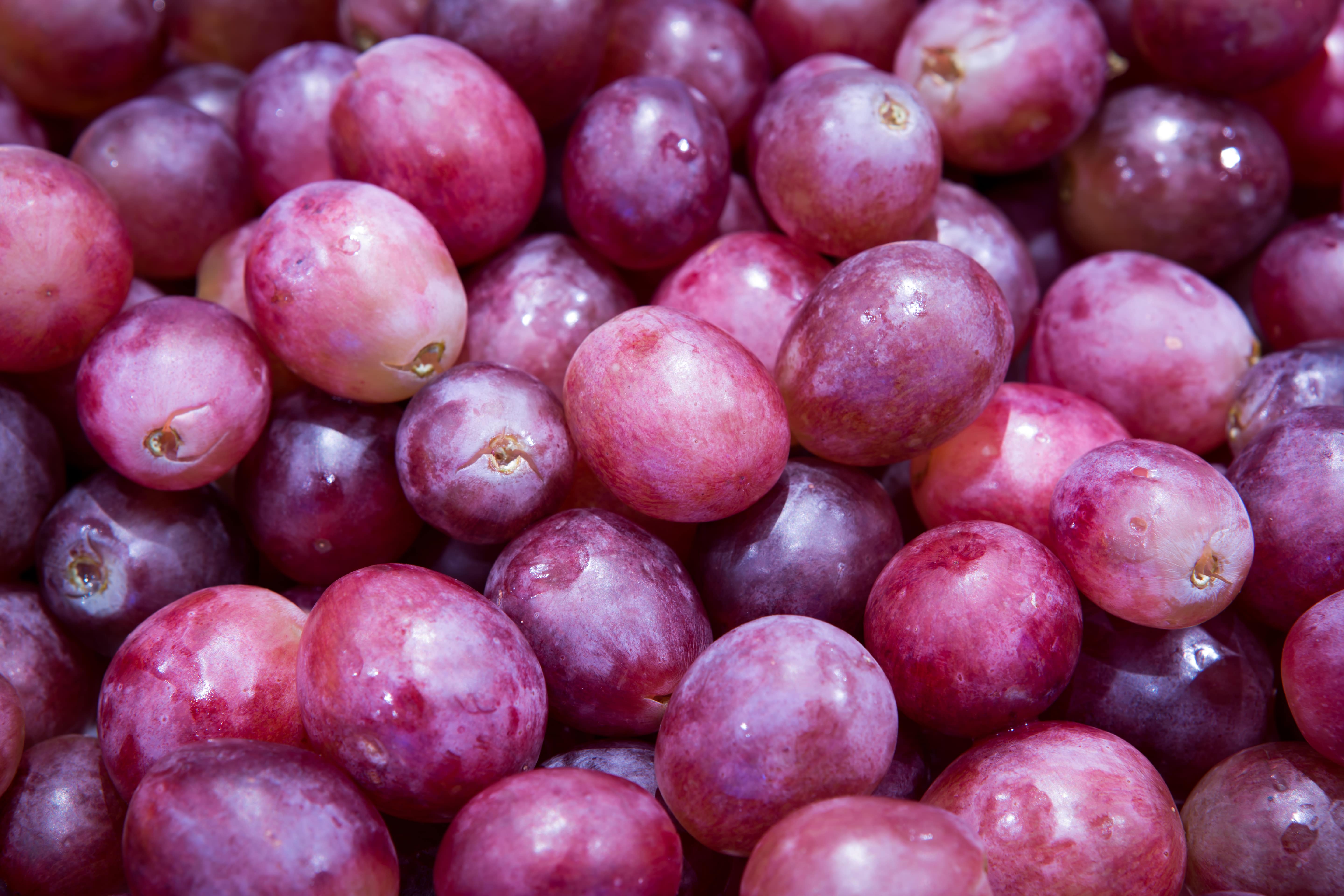 Uvas rojas tradiciones