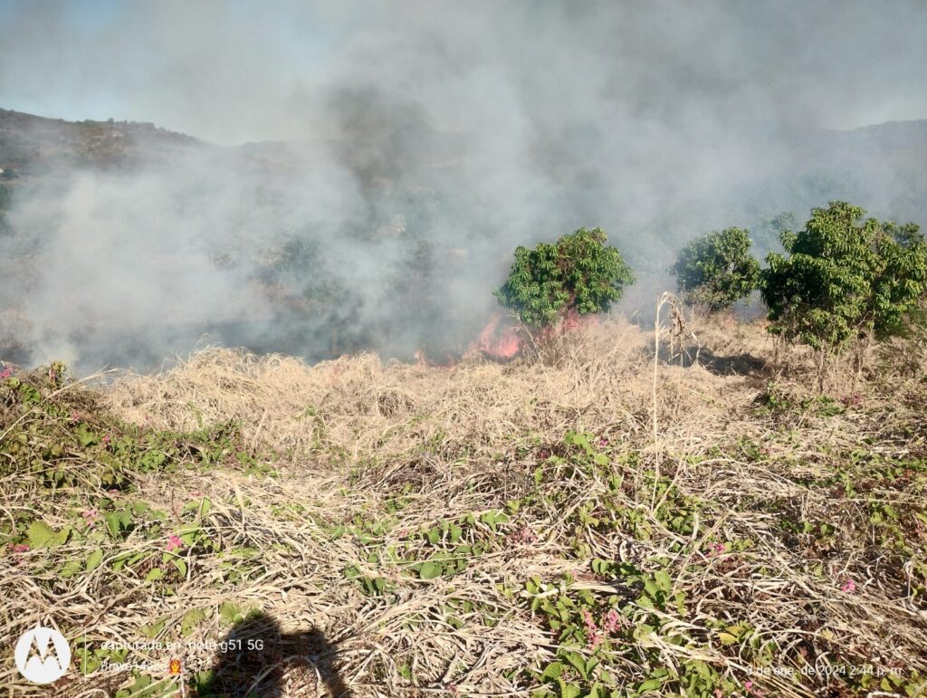 Bomberos Voluntarios de Escuinapa atendiendo uno de los incendios de maleza seca
