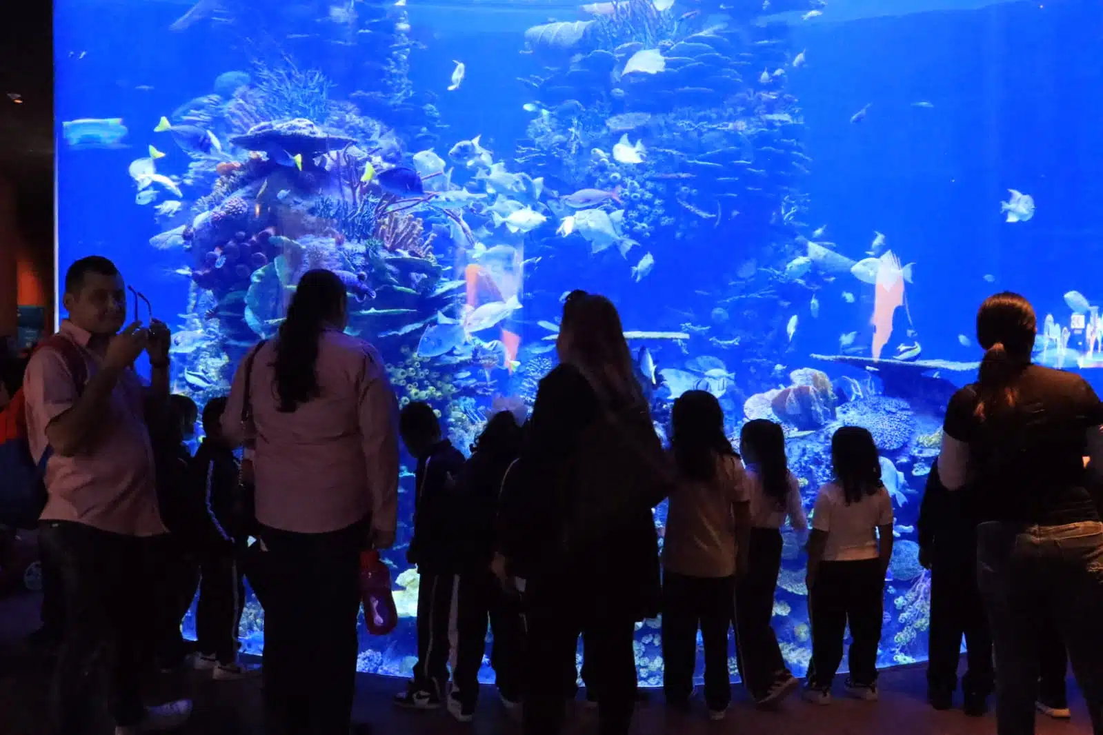 Alumnos de primaria visitan el Gran Acuario Mar de Cortés