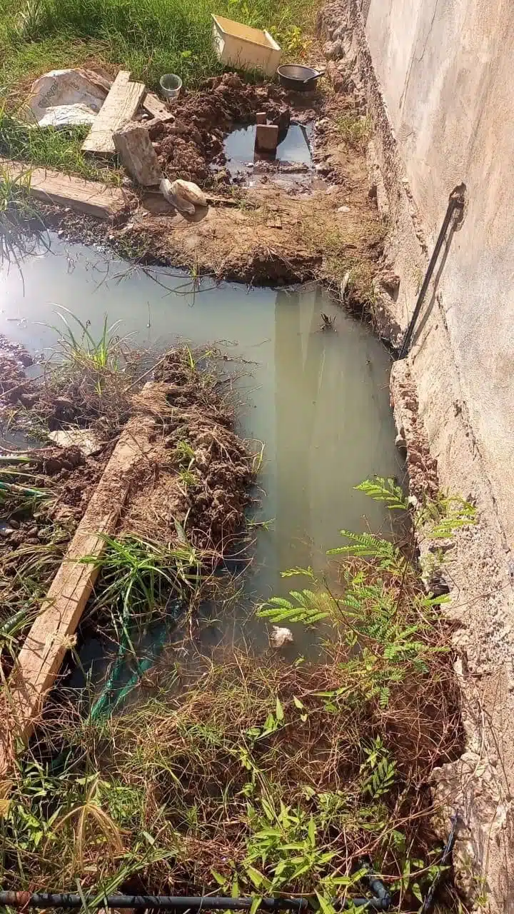 Aguas negras en Bachomobampo 2