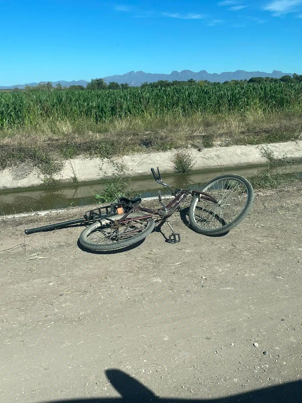 Bicicleta en la que viajaba Gonzalo quien fue atacado por un enjambre de abejas en Elota